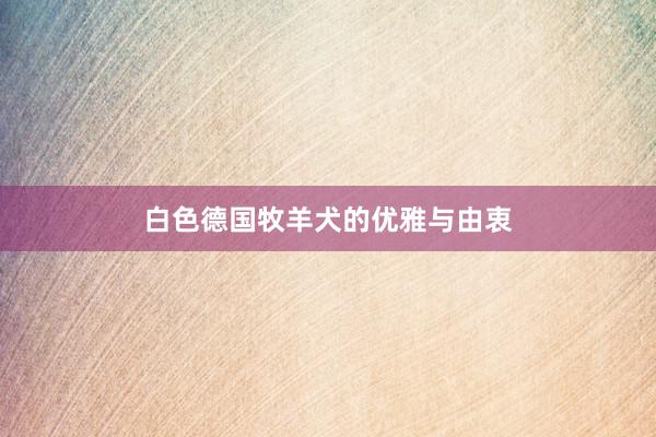 白色德国牧羊犬的优雅与由衷