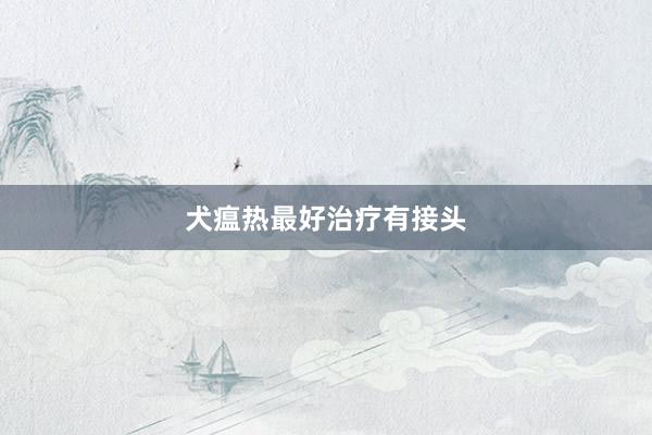 犬瘟热最好治疗有接头