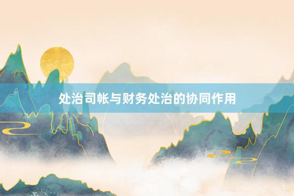 处治司帐与财务处治的协同作用